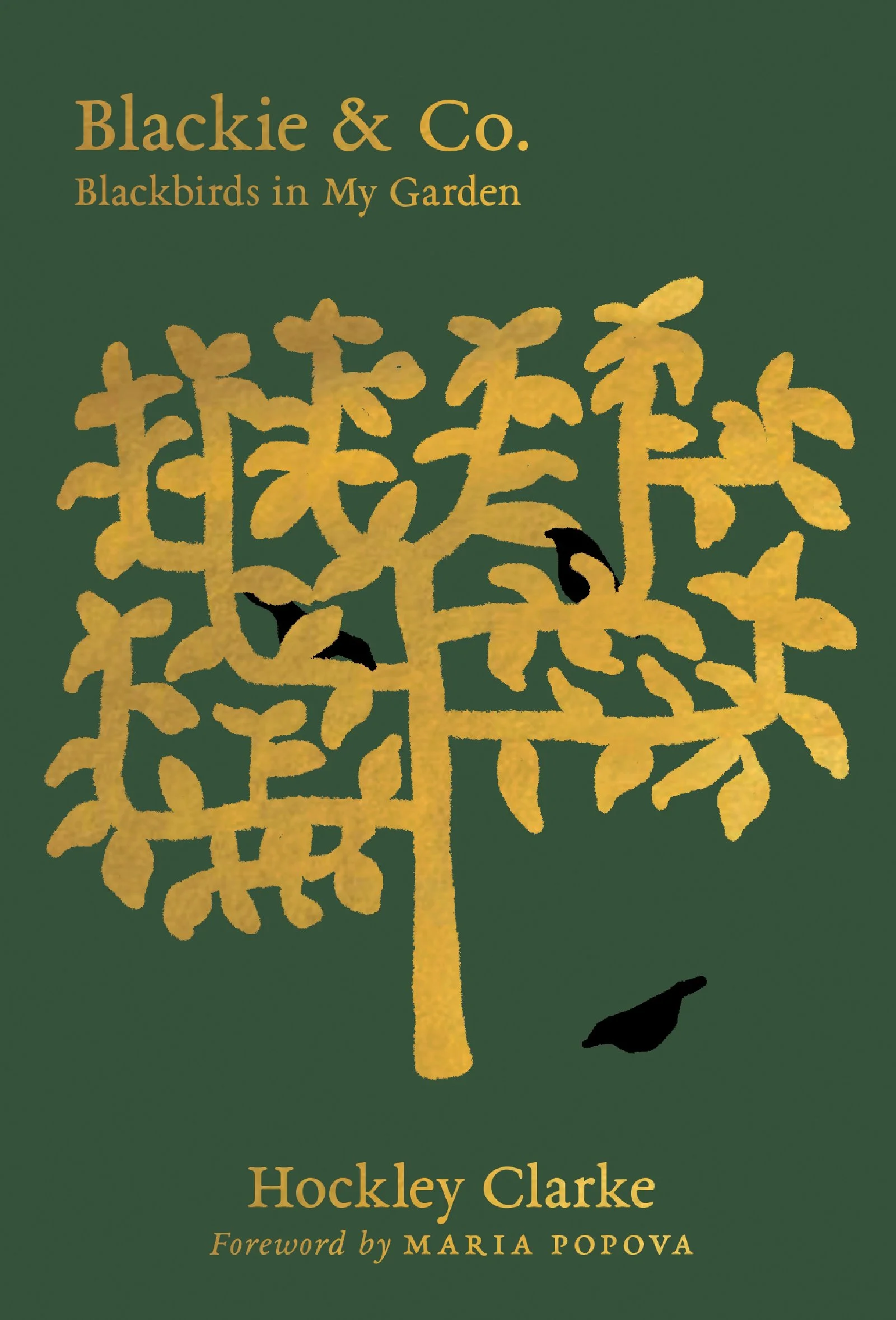Blackie & Co.: Blackbirds in My Garden — McNALLY EDITIONS